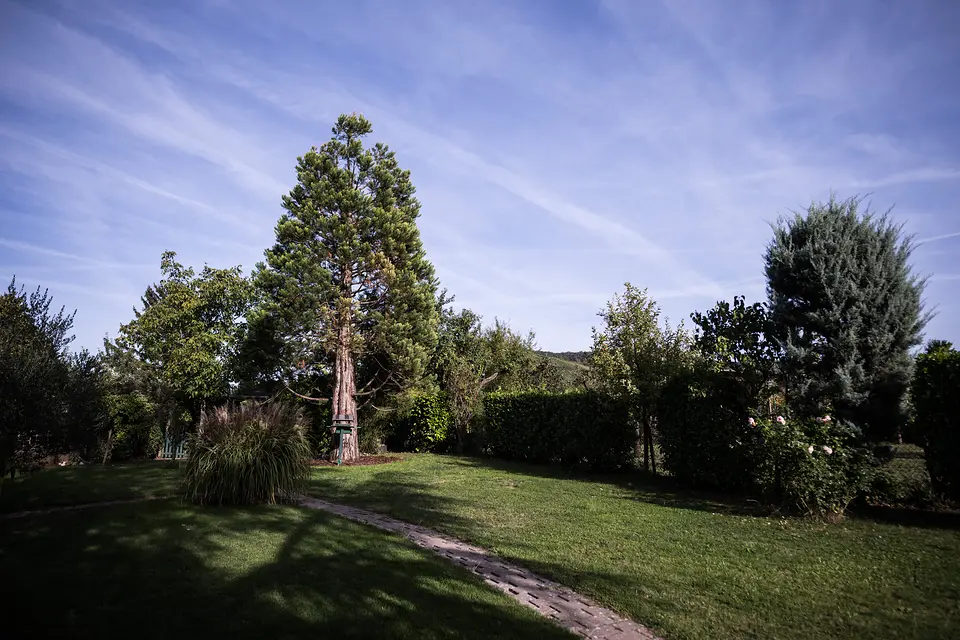 Großer Garten des Weinberghauses mit Rasen, hohen alten Bäumen und Hecken unter blauem Himmel