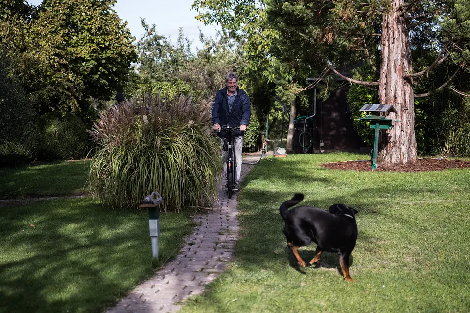 Radfahrer auf dem Gartenweg des Weinberghauses, der Hund läuft über den Rasen nebenher