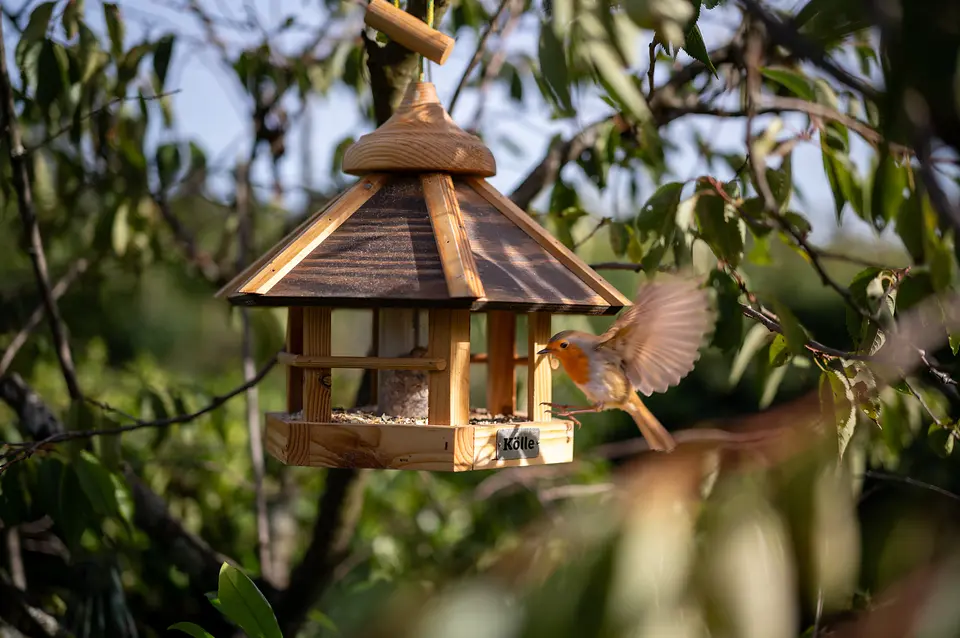 Vogelhäuschen aus Holz im Baum, ein Vogel fliegt gerade an