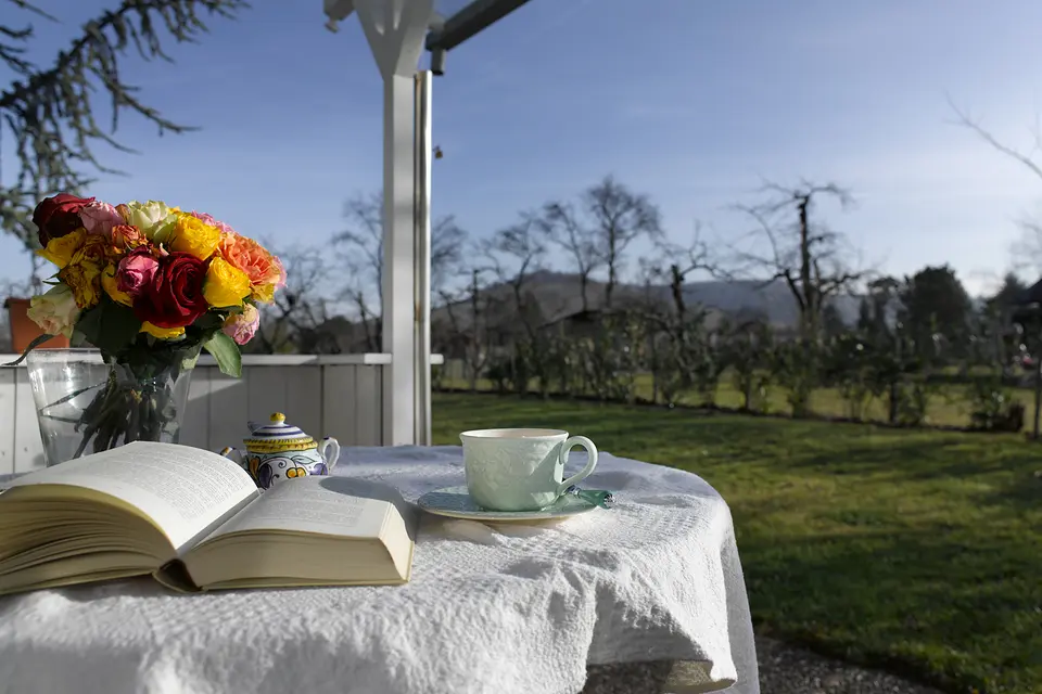 Gedeckter Tisch auf der Terrasse mit Buch, Teetasse und Rosenstrauß, Blick über Obstbäume und Weinberge