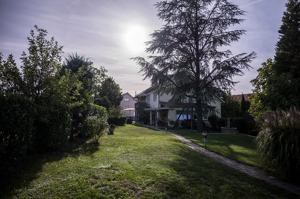 Blick über den Rasen zum Weinberghaus mit Terrasse, die Sonne steht hinter den Bäumen