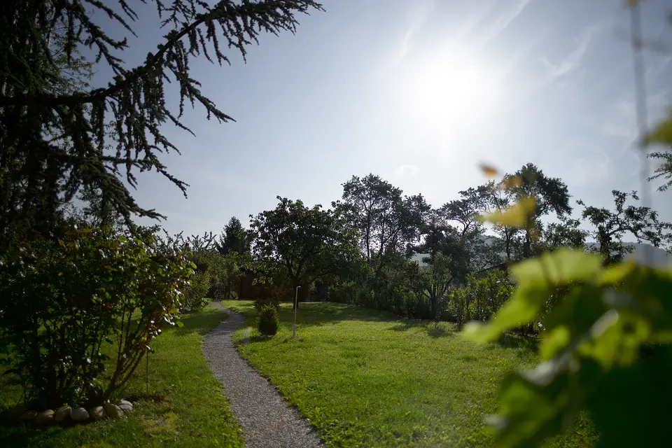 Kiesweg durch den Garten des Weinberghauses im Gegenlicht der Morgensonne