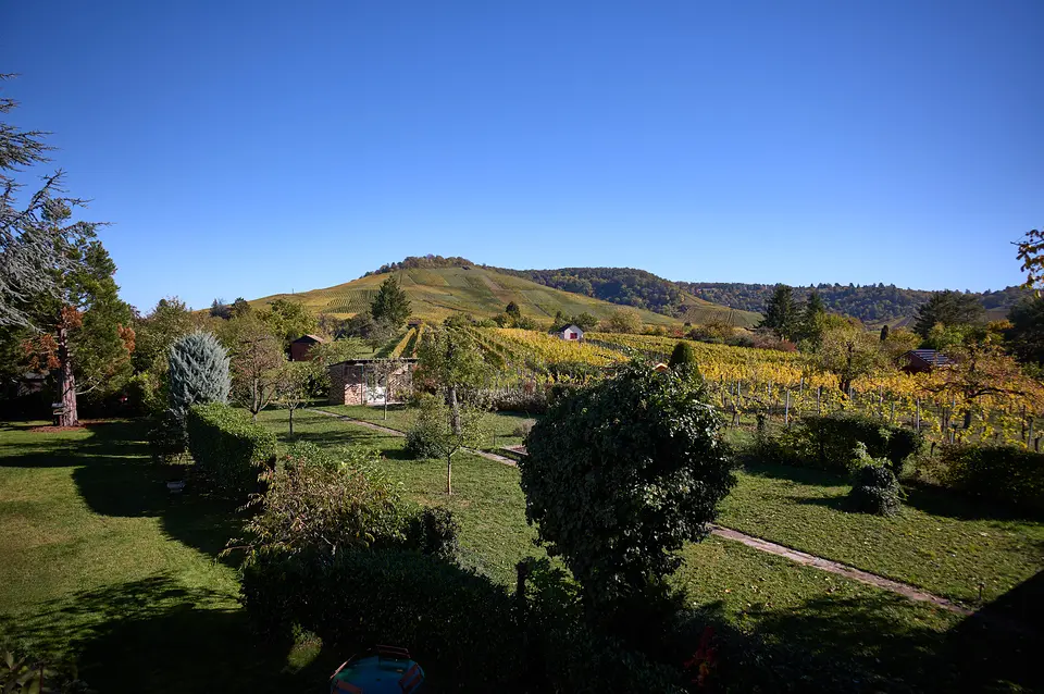 Blick vom Weinberghaus über den Garten und die herbstlichen Weinberge zum Kappelberg